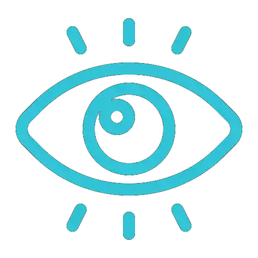 vision